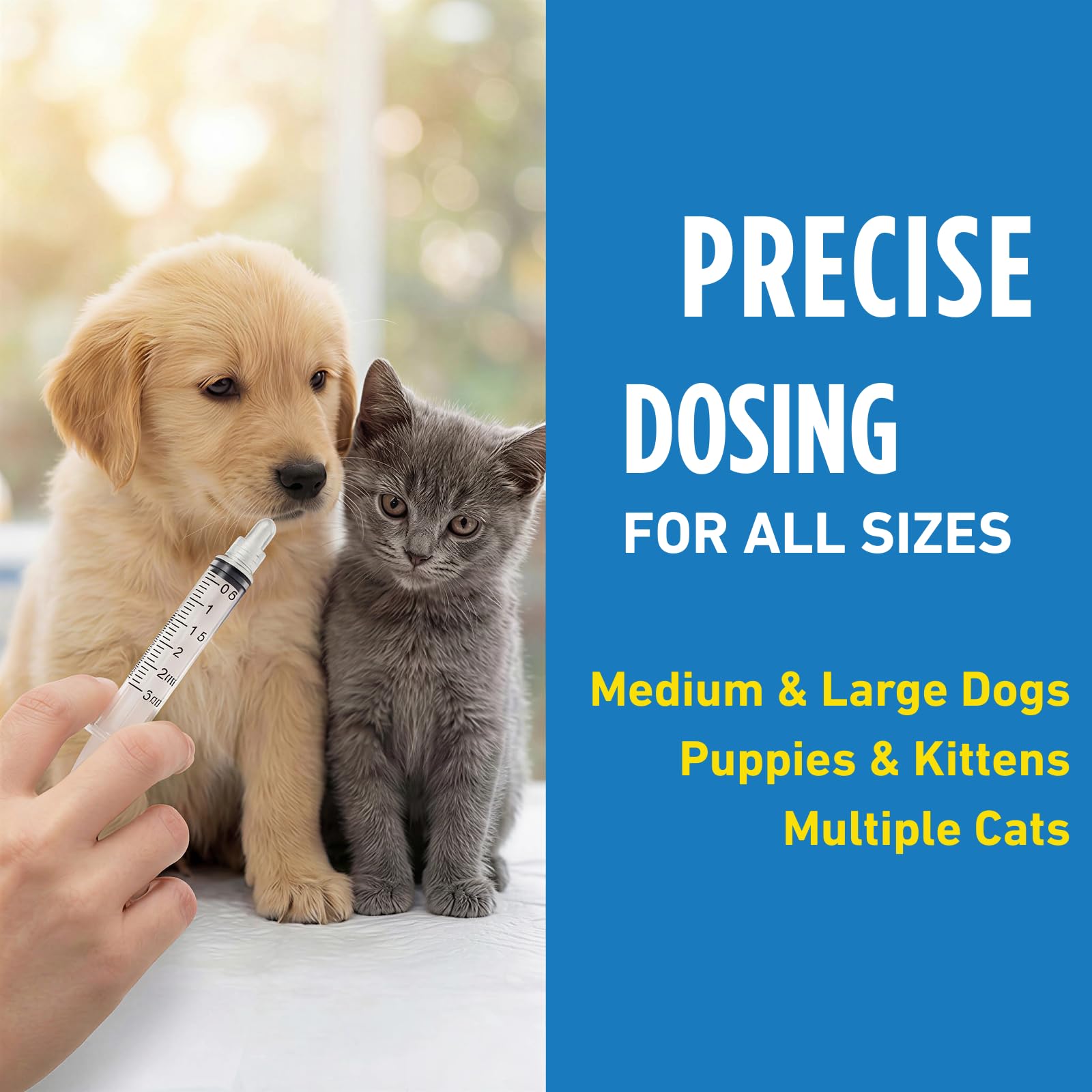 Petcci dewormer being prepared for a kitten’s dose.