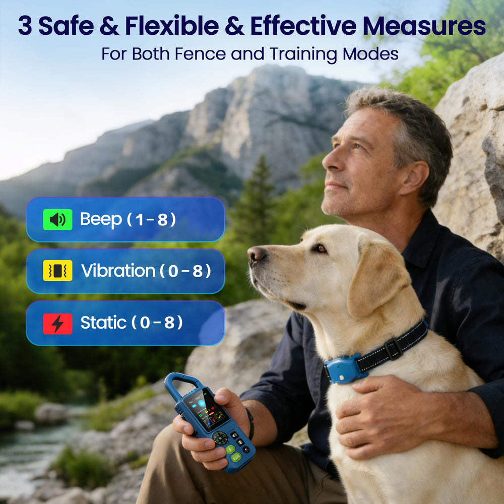 PetChums compass kit - helps find the right direction on adventures