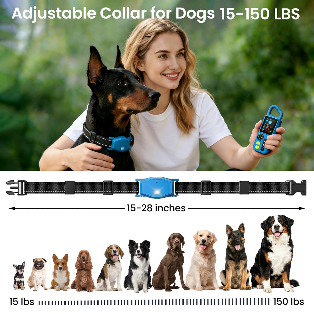 PetChums portable remote - pocket-sized control for activities