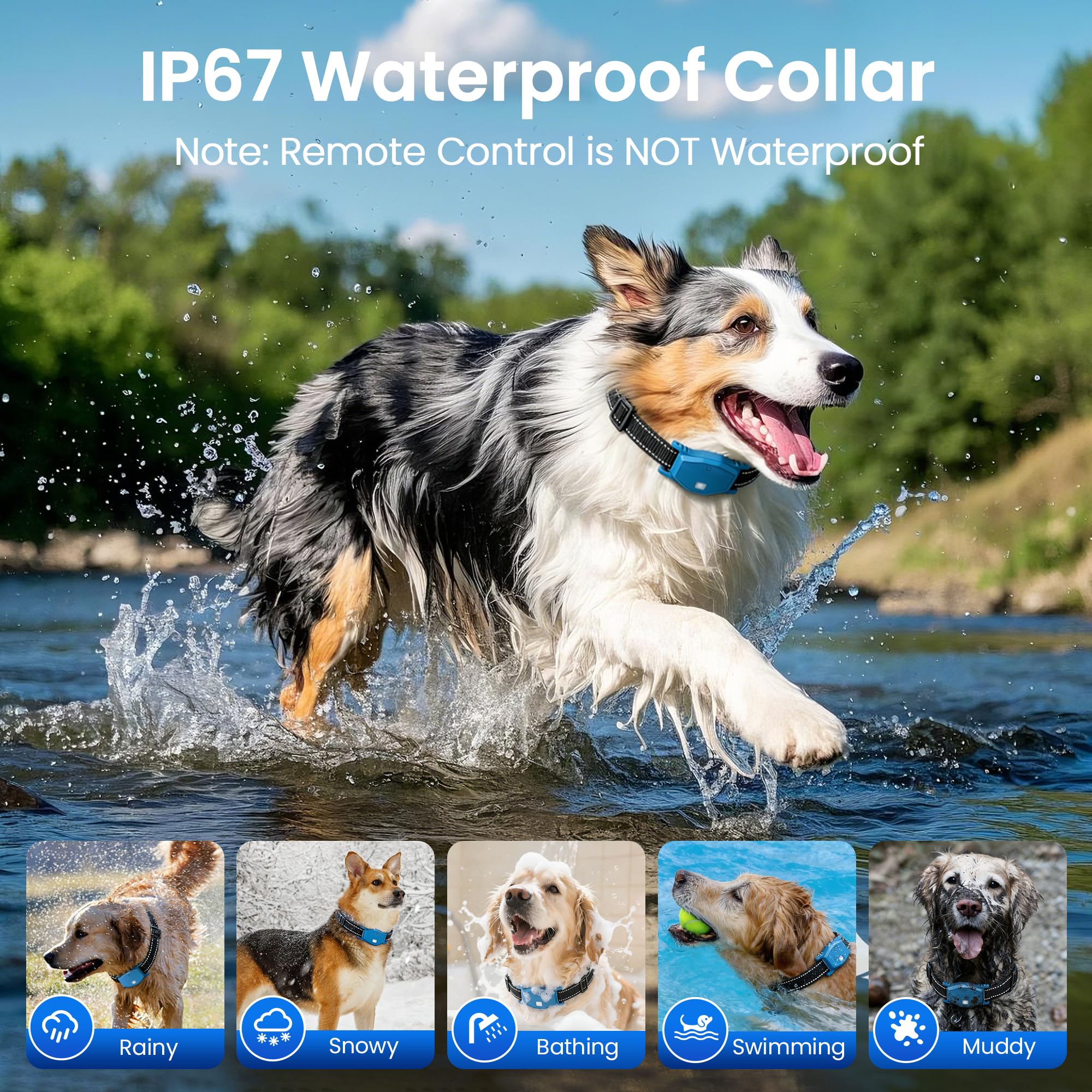PetChums waterproof collar - reliable outdoors in rain or dust