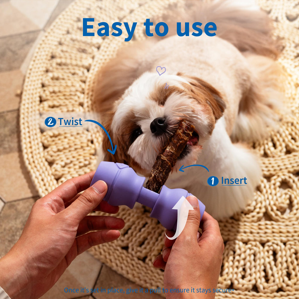 PetClan Chewise easy-clean design simplifies after-chew cleanup.