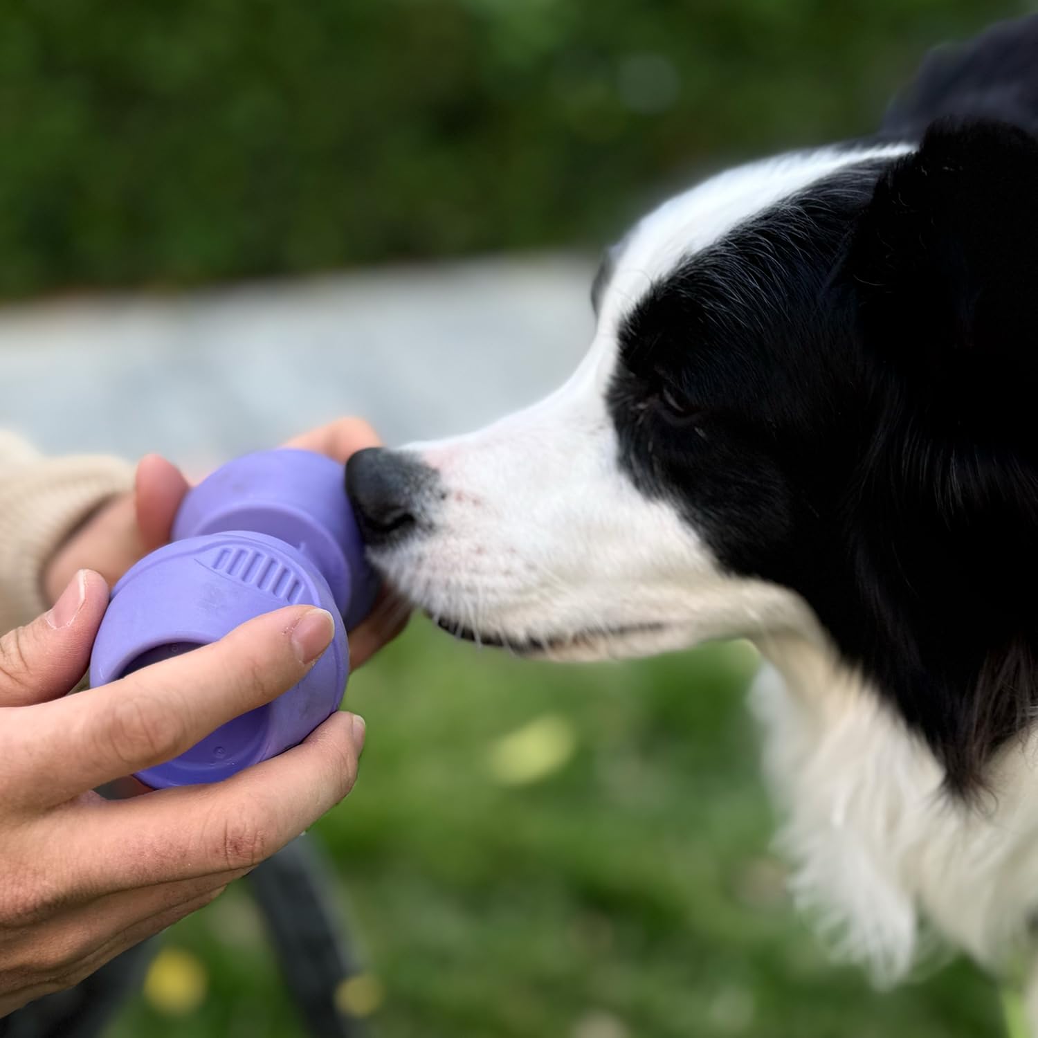 PetClan Chewise easy-cleaning indicates low-maintenance design after use.
