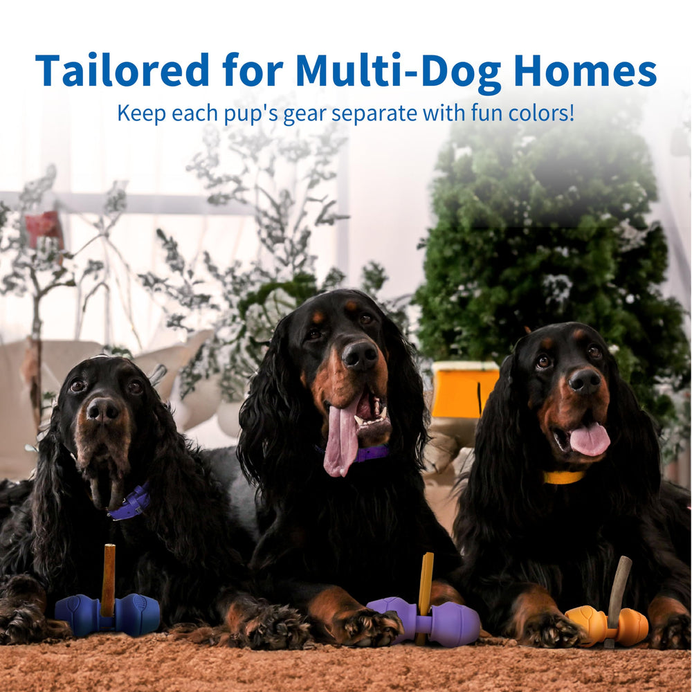 Dog trainers endorse PetClan Chewise for safer, engaging chew sessions.