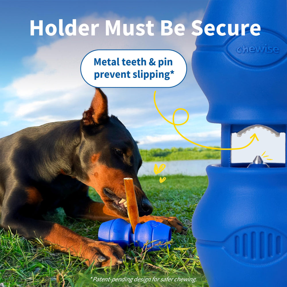 PetClan Chewise nylon body is BPA-free and built for heavy-chew dogs.