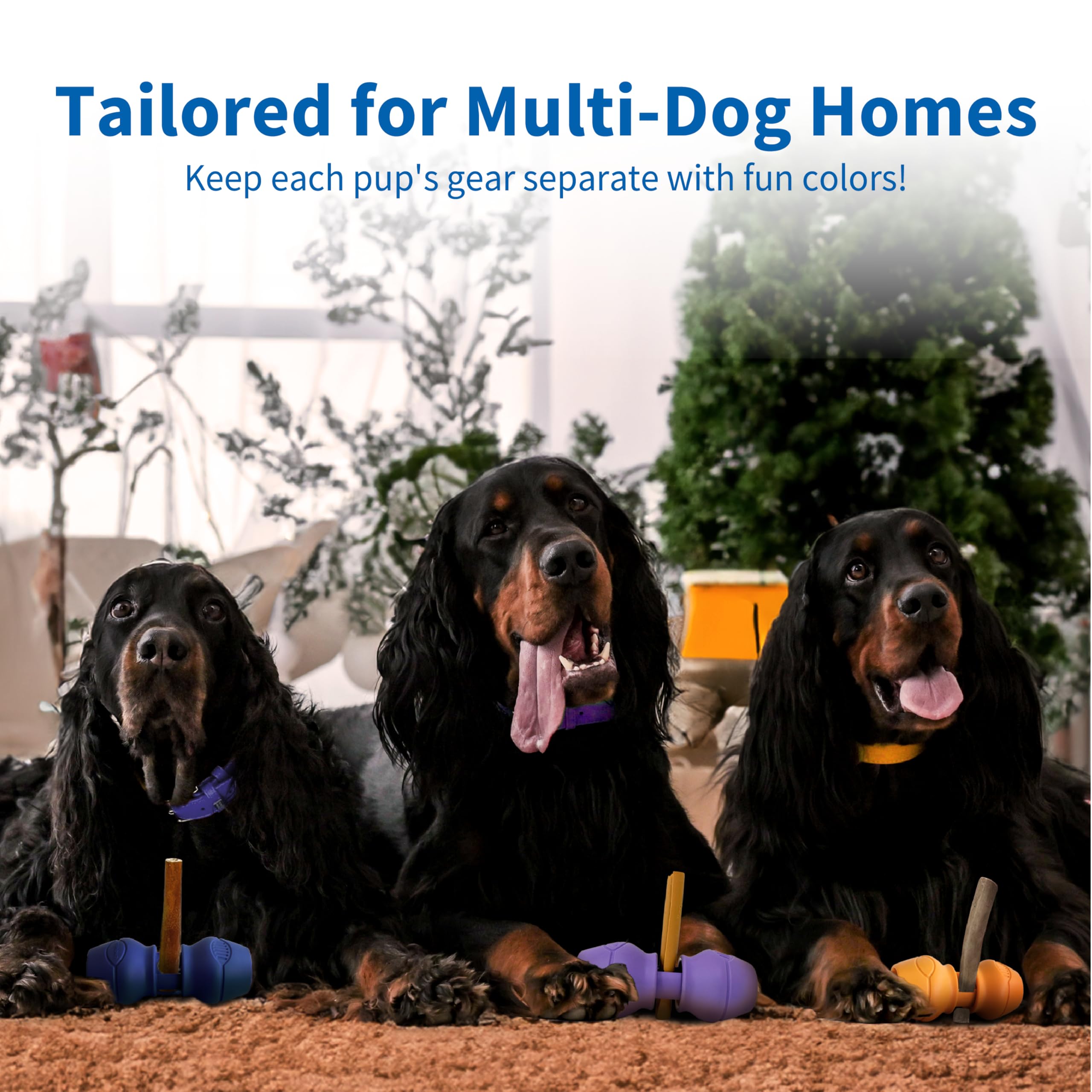 PetClan Chewise trusted by trainers for safe chew sessions