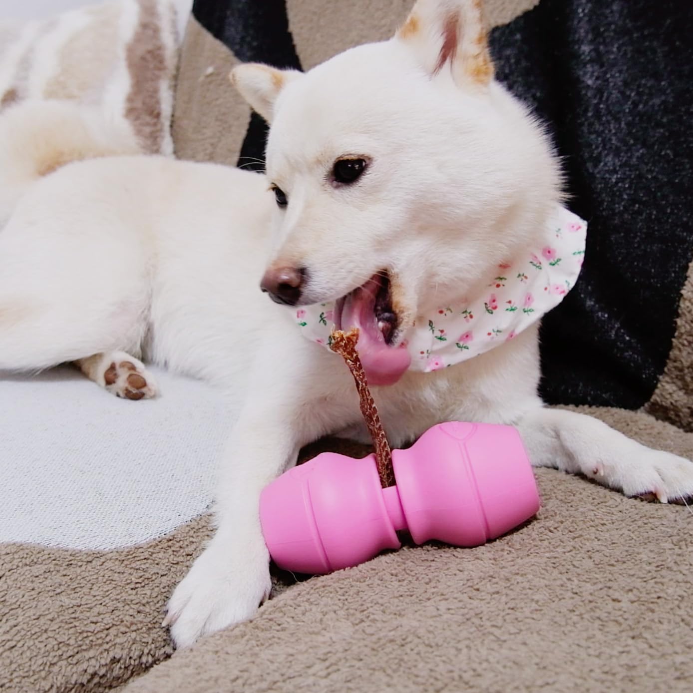 PetClan Bully Stick Holder fits dogs over 20 lbs with versatility.