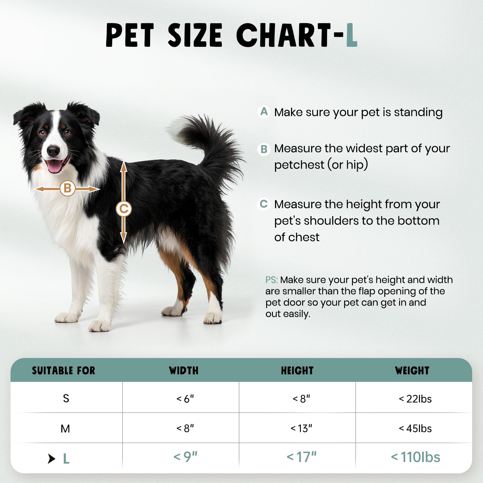 PETCOMING installation guide video aiding quick setup
