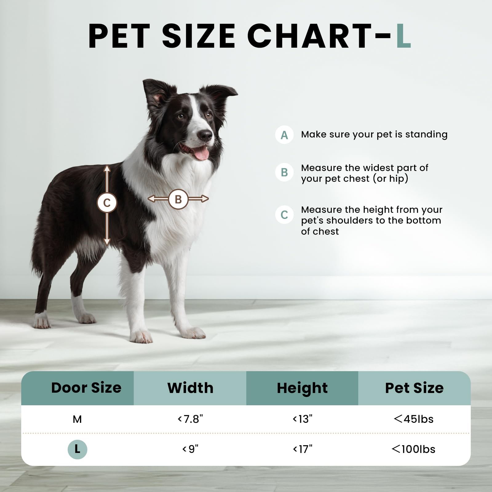 PETCOMING size guide ensures pets up to 100 pounds fit comfortably