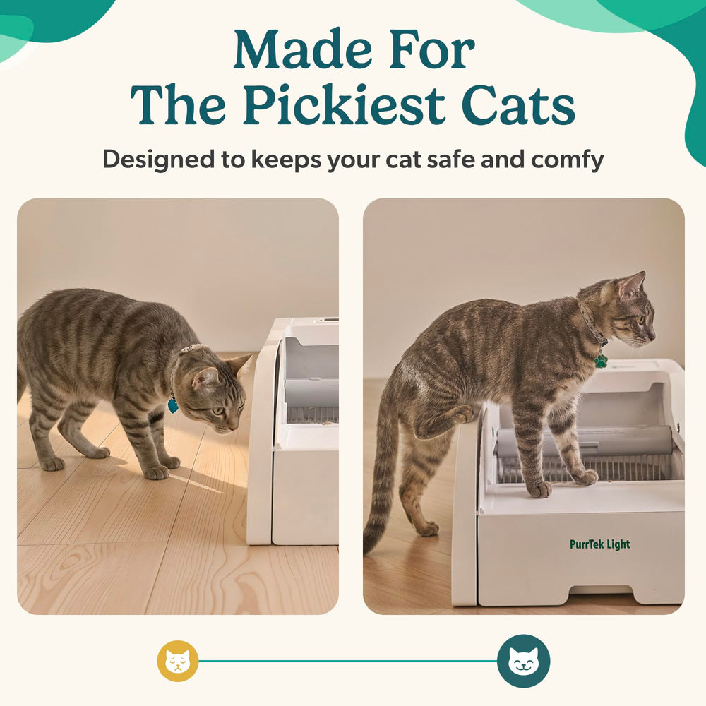 Petcove PurrTek Light certified safe and durable for indoor use