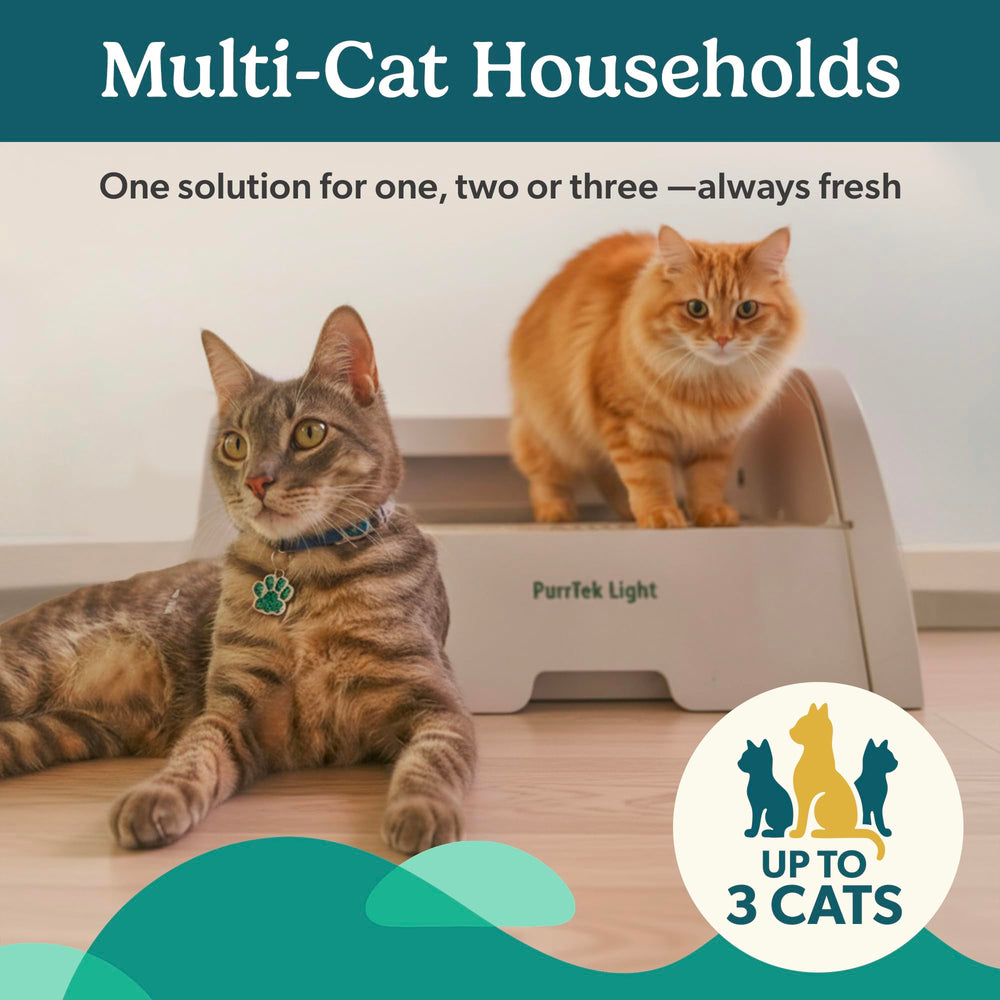 Petcove PurrTek Light compact footprint fits bedroom corners for discreet placement
