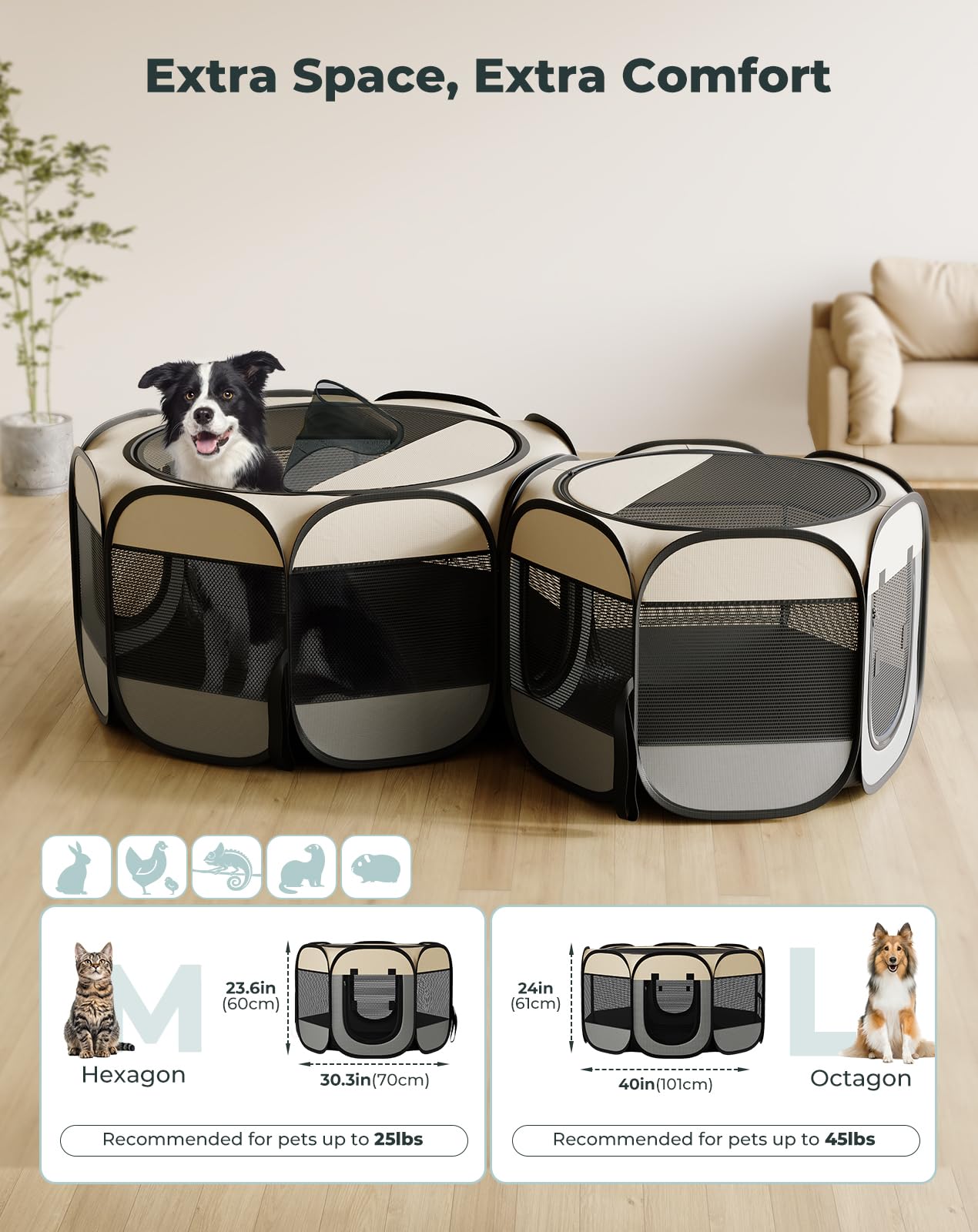 Petcozife two-room configuration enables separate play and feeding areas.