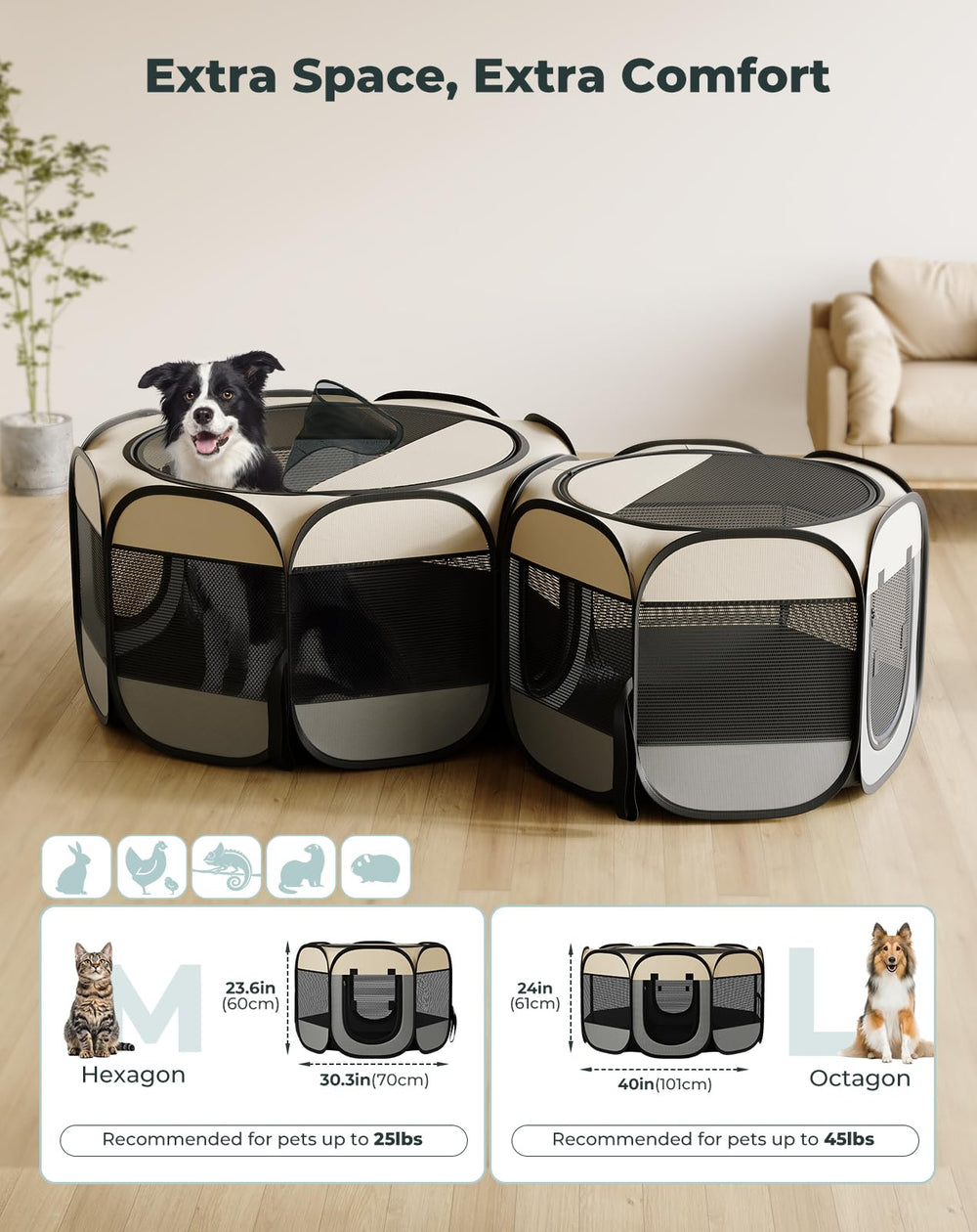 Petcozife two-room configuration enables separate play and feeding areas.