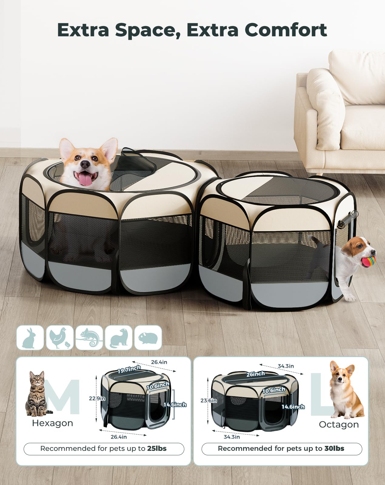 Petcozife two tents setup shows versatile layout for rest and play