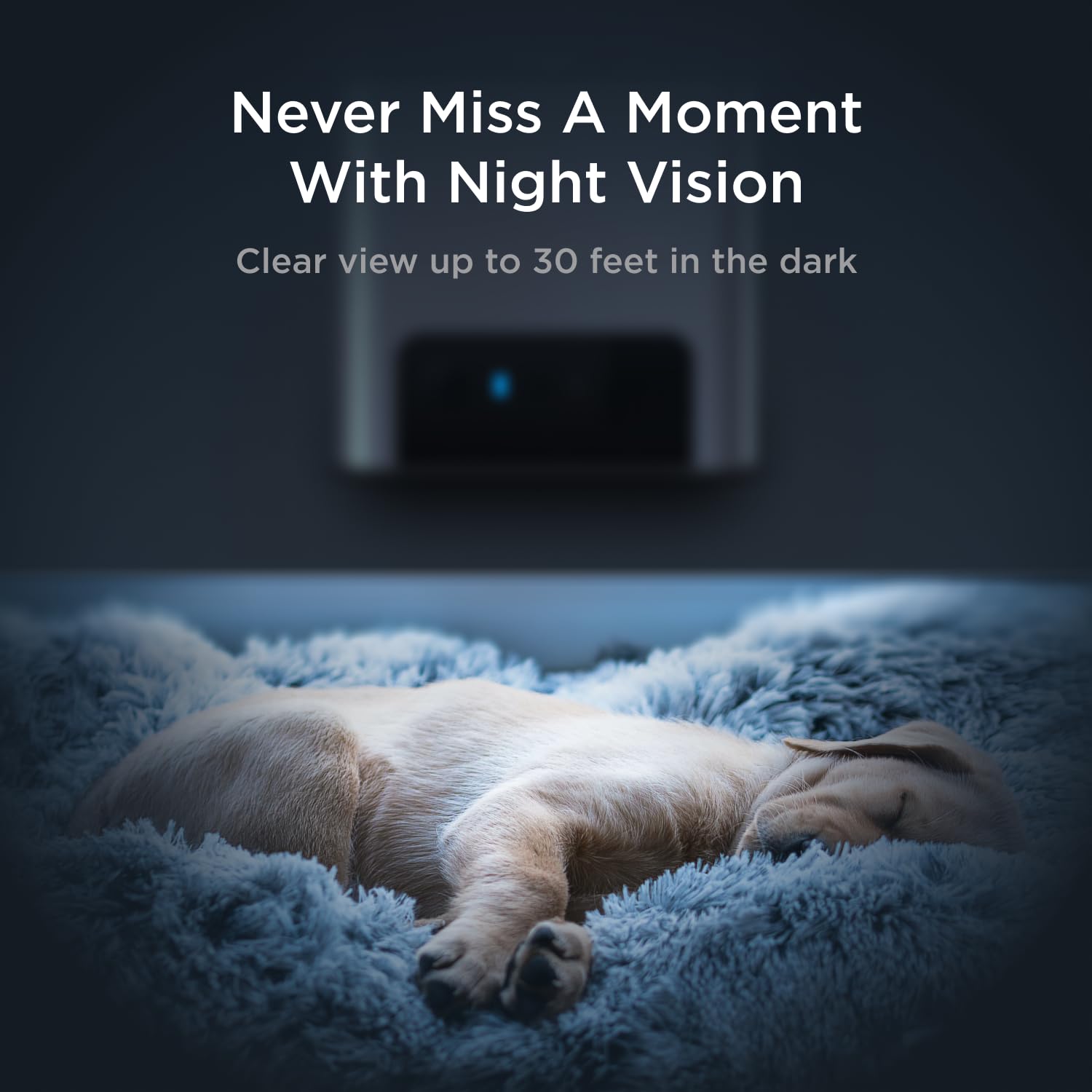 Petcube Bites 2 Lite with Alexa compatibility for voice control