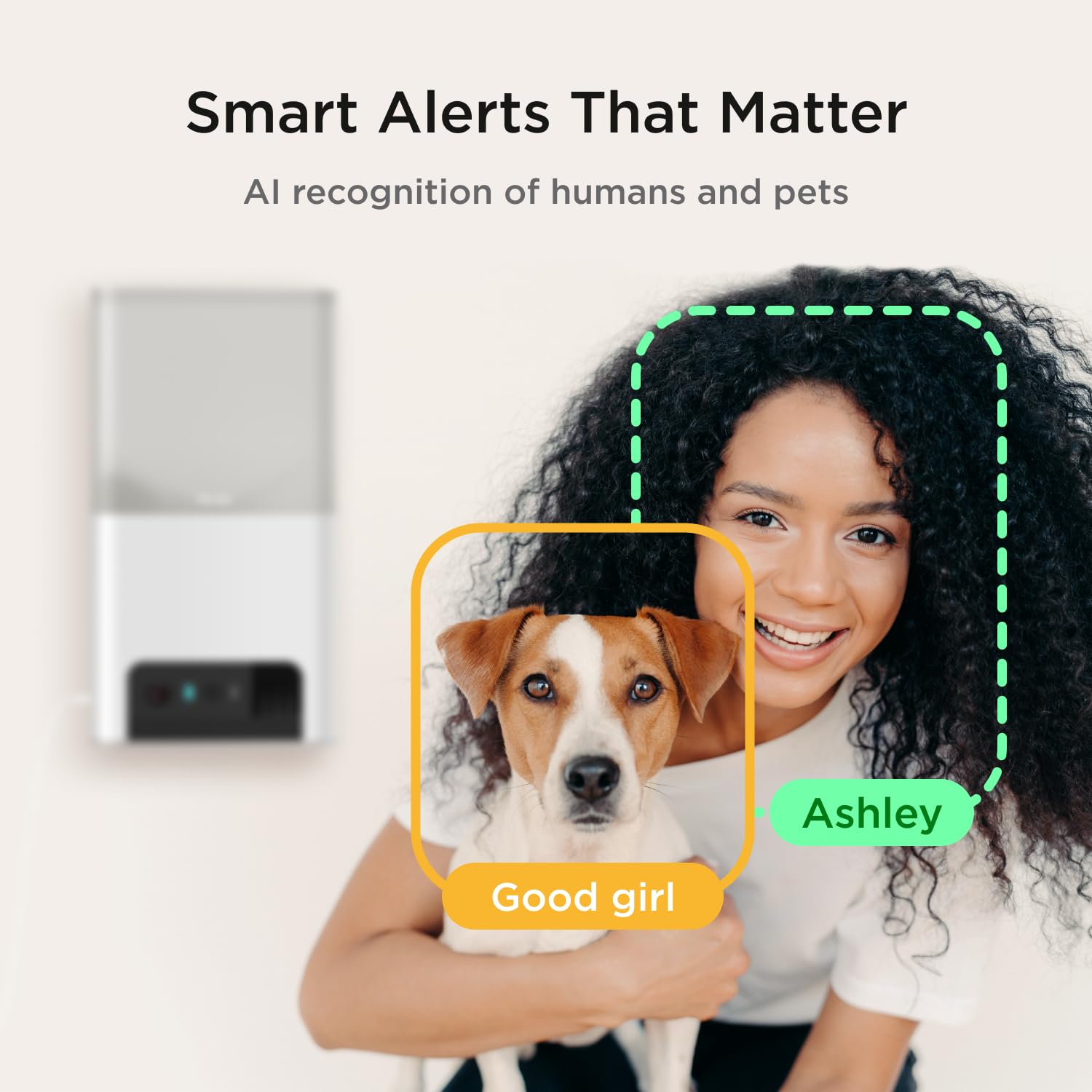 Petcube Bites 2 Lite motion and sound alerts displayed in app