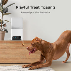 Petcube Bites 2 Lite night vision illuminating pets in low light