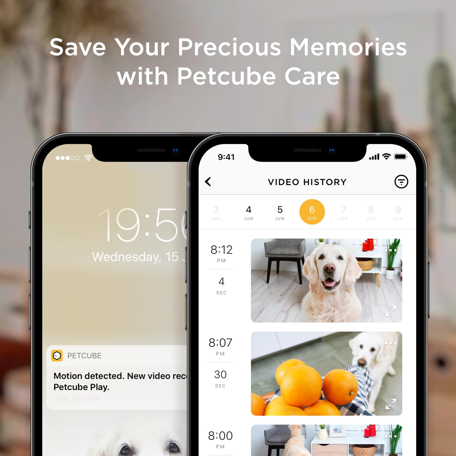 Petcube Bites 2 Lite 1.5 lb treat container close-up in dishwasher-safe design
