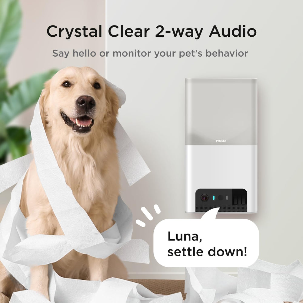 Petcube Bites 2 Lite treat dispenser delivering snacks remotely