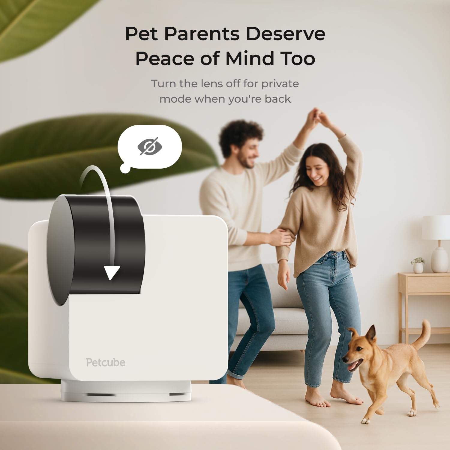 Petcube Cam 360 motion alerts keep you informed in real time.