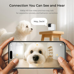 Petcube Cam 360 pan-tilt rotation covers every angle in the room.