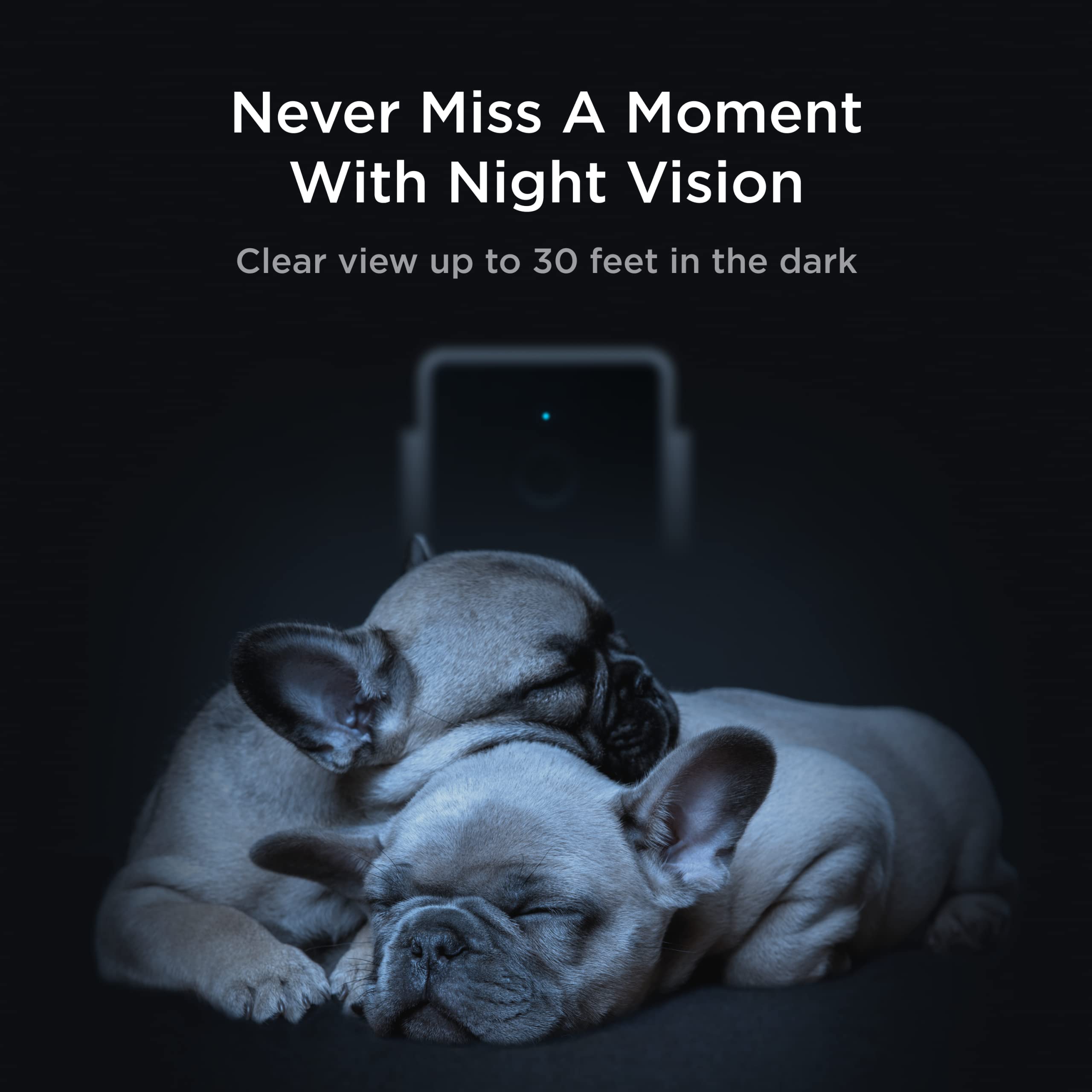 Petcube Cam AI alerts notify you of people or pets in real time.