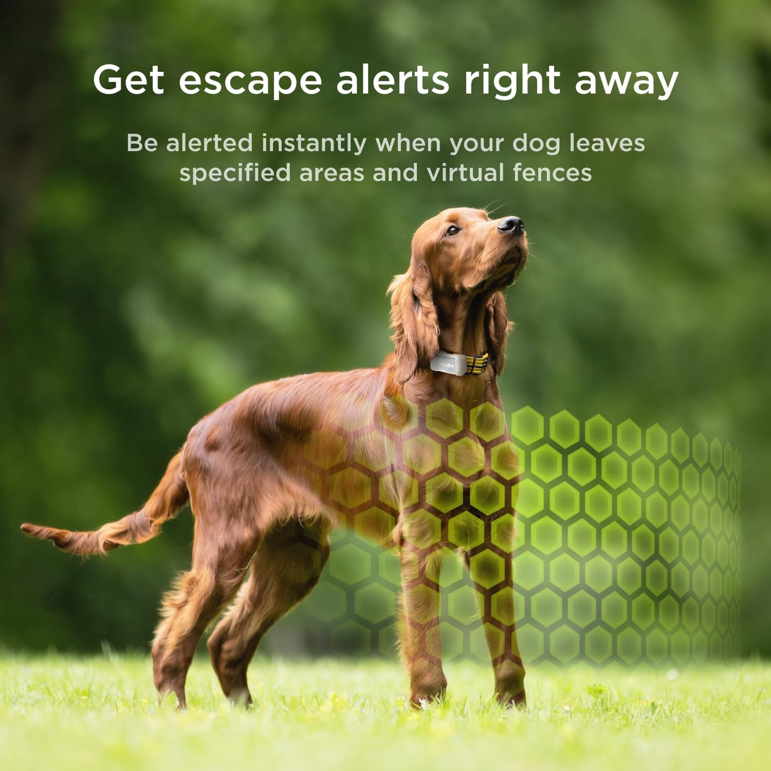 Petcube GPS Tracker battery life display highlighting long endurance and quick recharge.