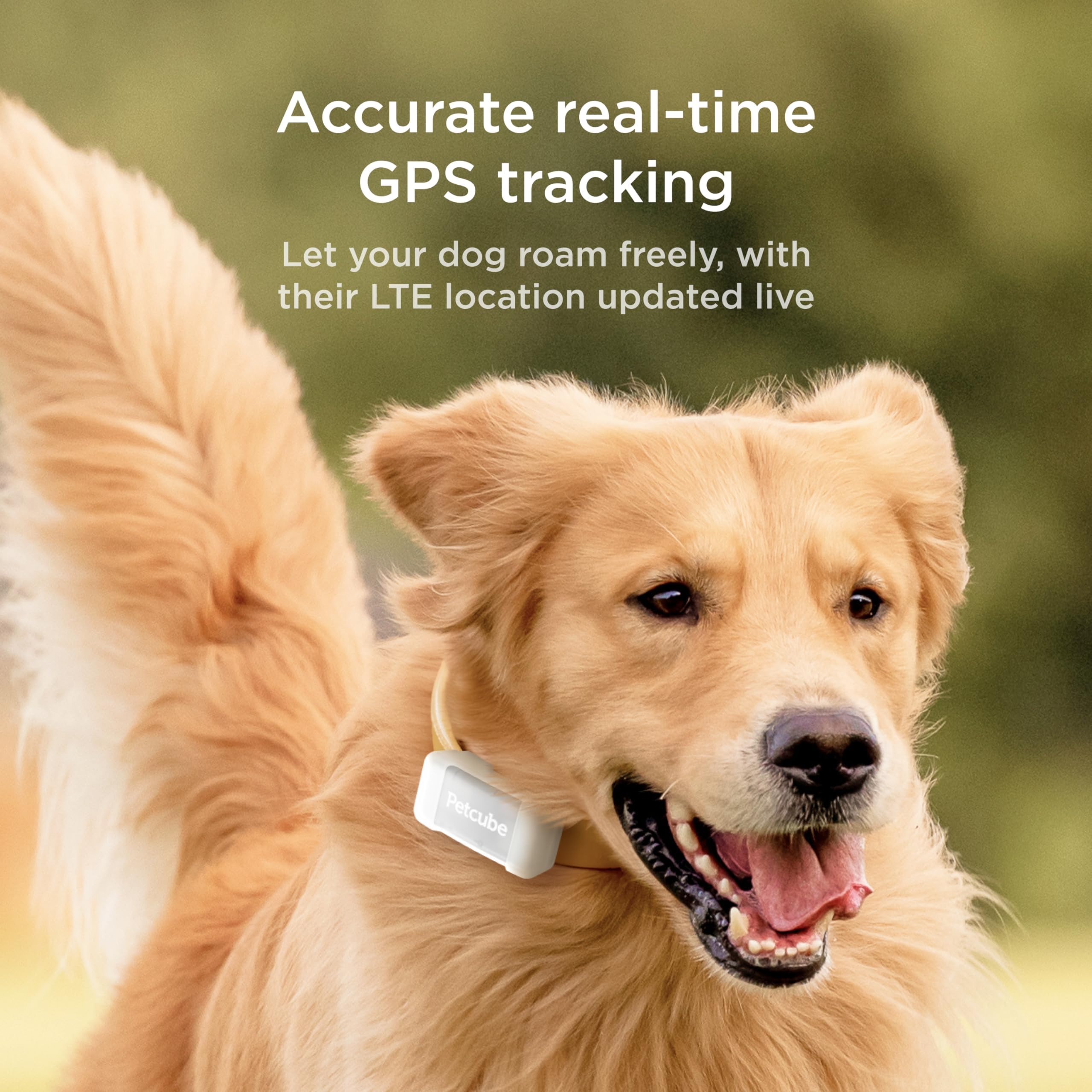 Petcube GPS Tracker sends escape alerts to notify when dog leaves safe zones.