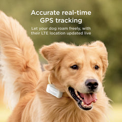 Petcube GPS Tracker sends escape alerts to notify when dog leaves safe zones.