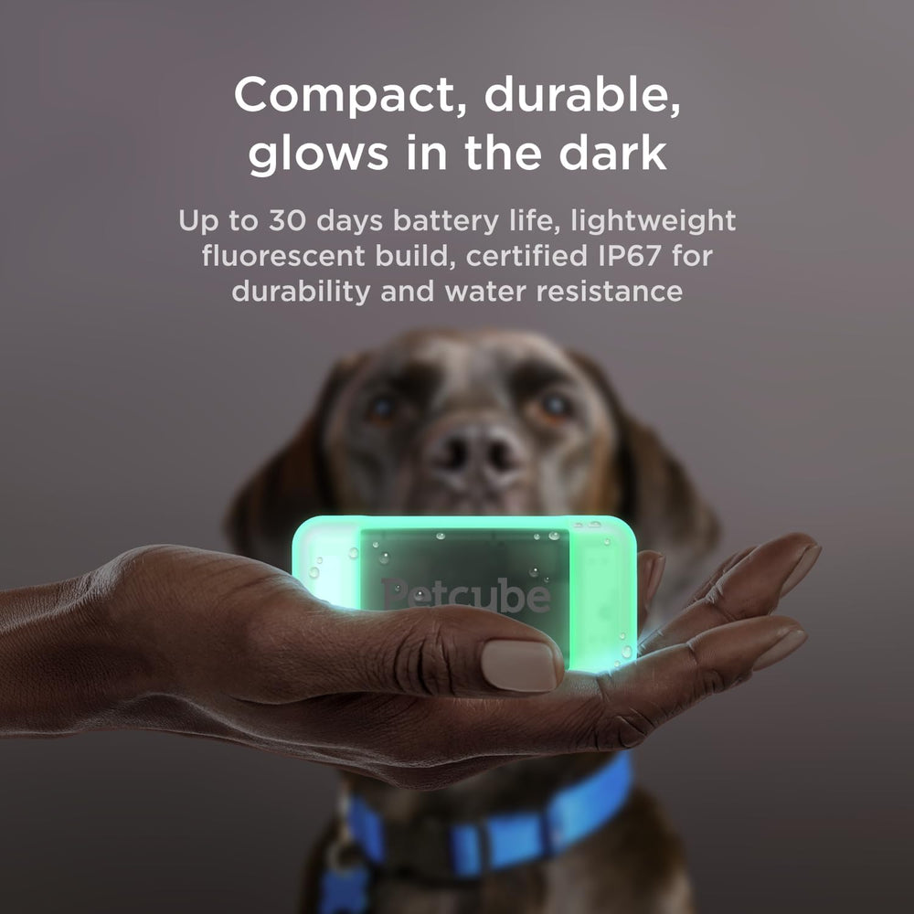 Petcube GPS Tracker safe zones map enables virtual fences for peace of mind.