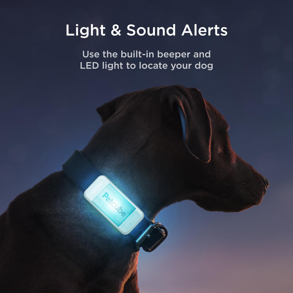 Petcube GPS Tracker waterproof glow-case aids night locating and visibility.