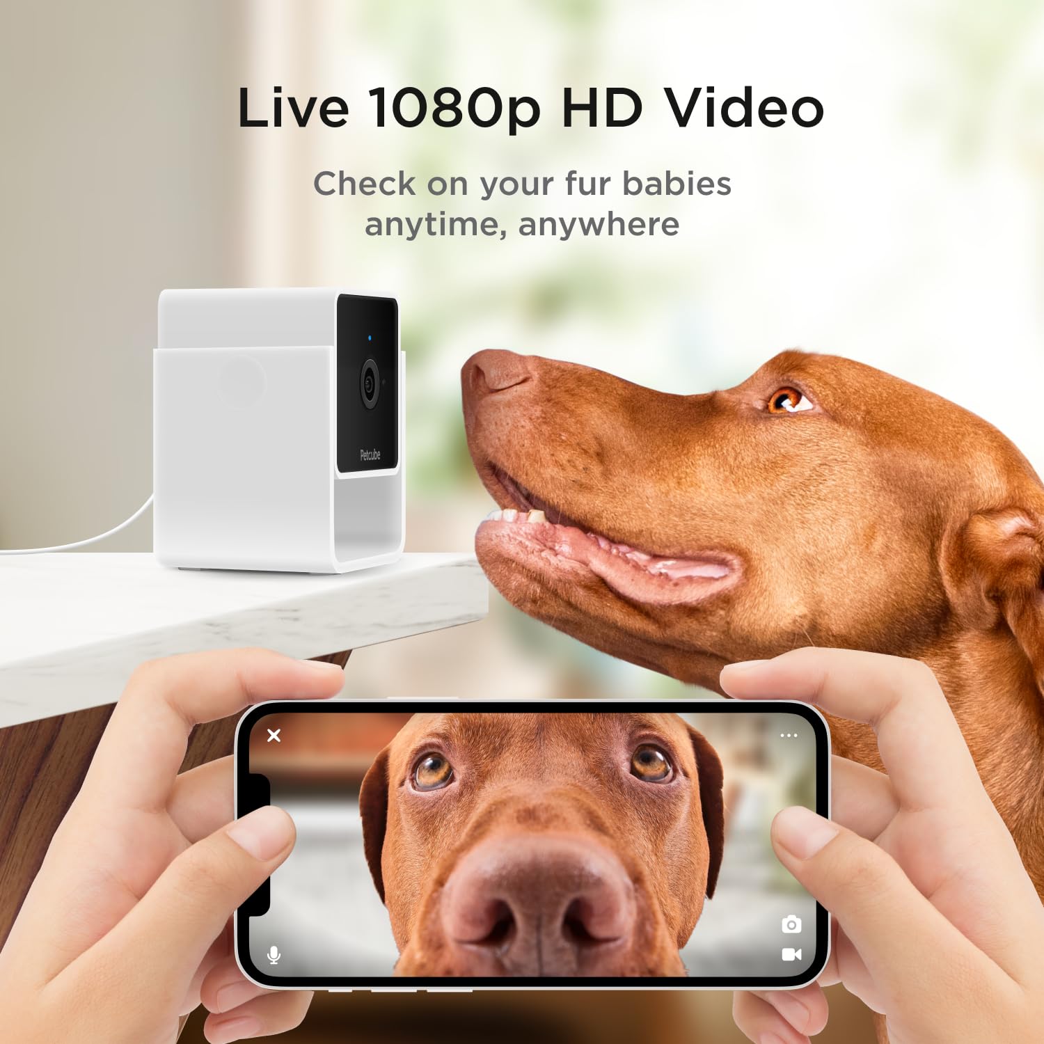 Petcube Pack-2 1080p live video delivers clear viewing for pets at play.