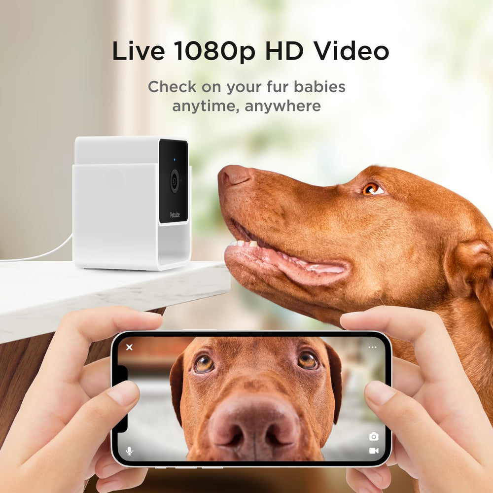 Petcube Pack-2 1080p live video delivers clear viewing for pets at play.
