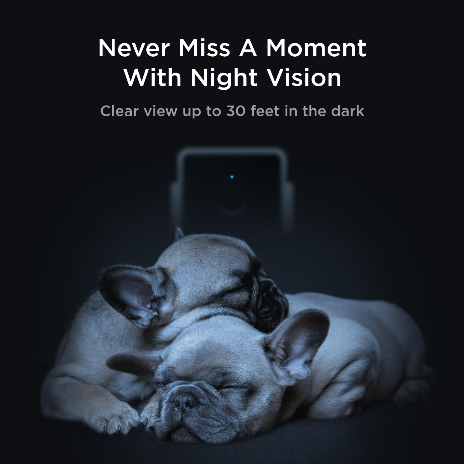 Petcube Pack-2 motion and sound alerts with AI detection for relevant notifications.