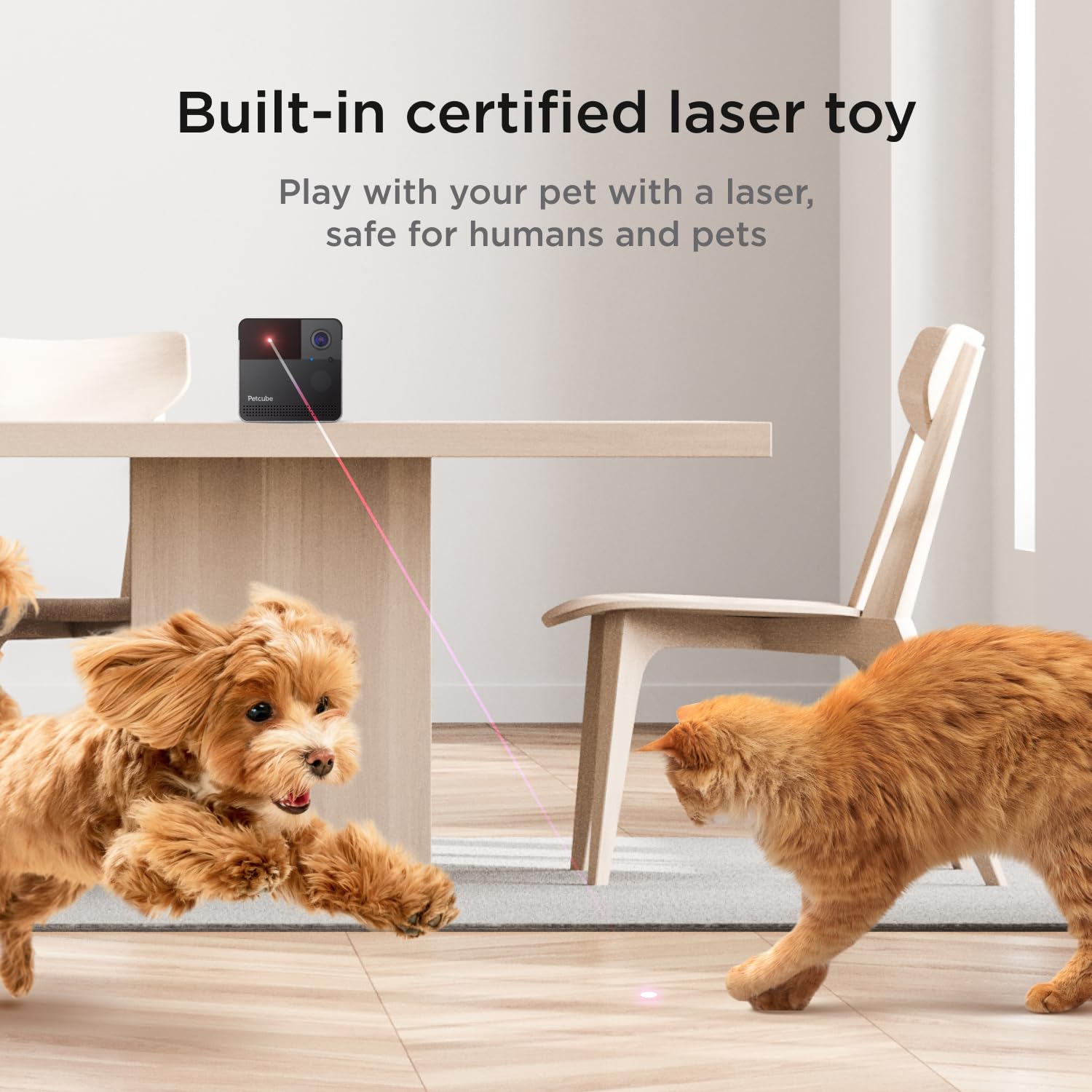 Petcube Play 2 laser toy control for remote pet entertainment