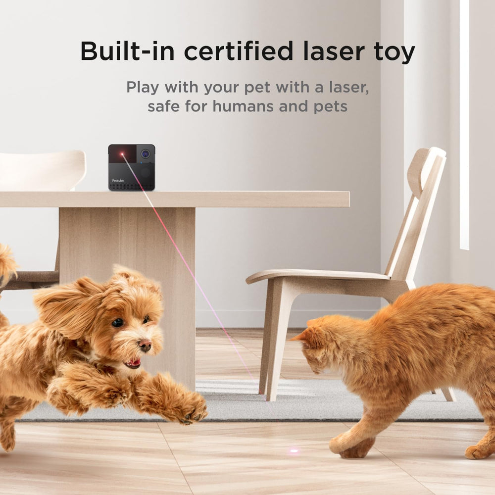 Petcube Play 2 laser toy control for remote pet entertainment