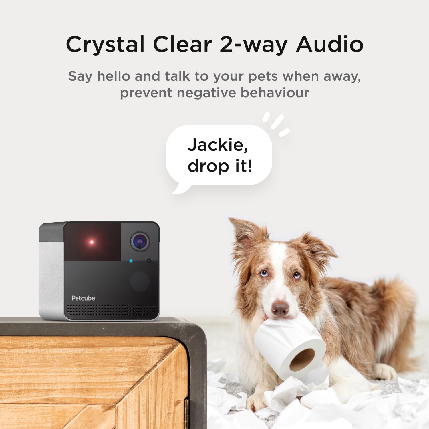 Petcube Play 2 motion and sound alerts keep you informed