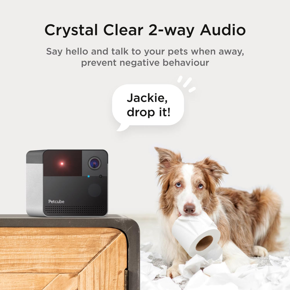 Petcube Play 2 motion and sound alerts keep you informed