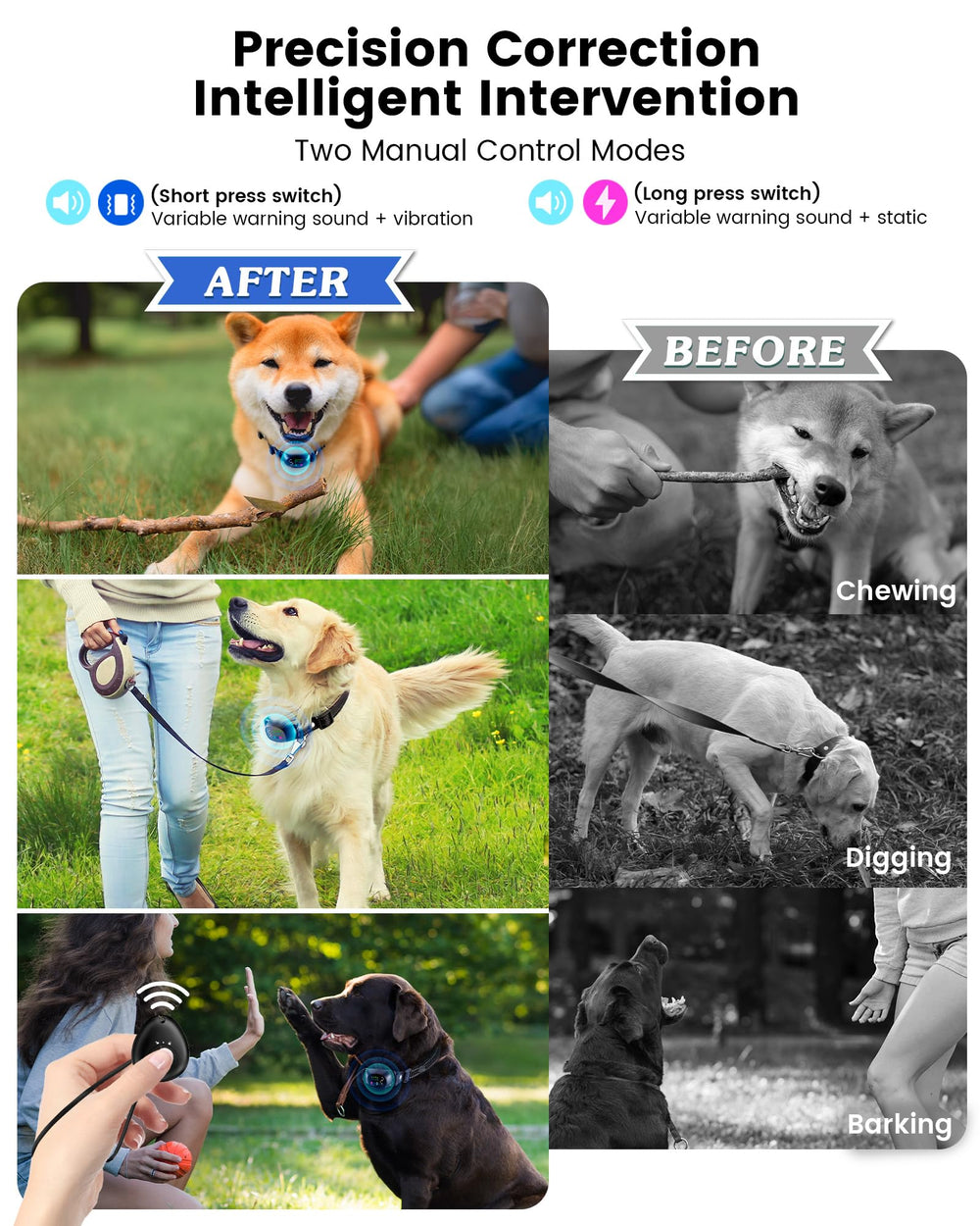 PETDOTT adjustable collar on a dog's neck illustrates a fit for all sizes