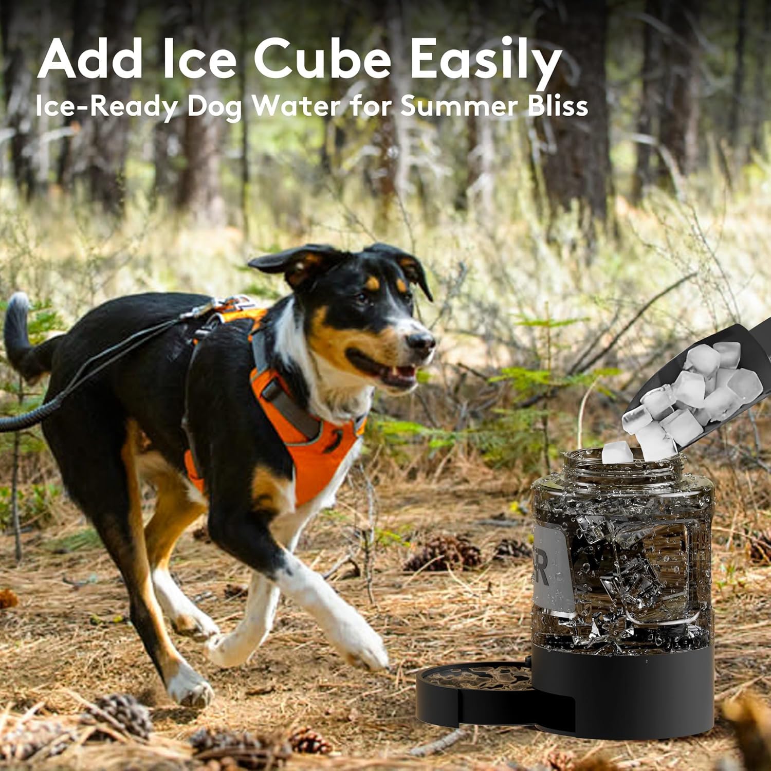 PETDOTT all-day hydration support for large dogs and multi-dog families.