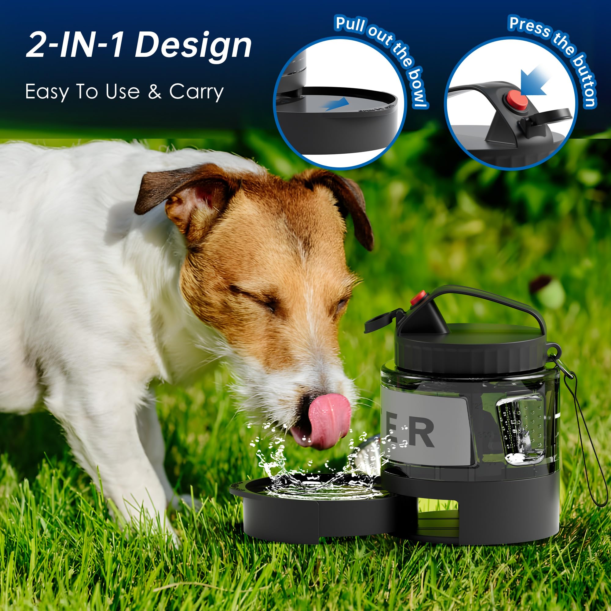 PETDOTT BPA-free materials ensure safe drinking water for daily use.