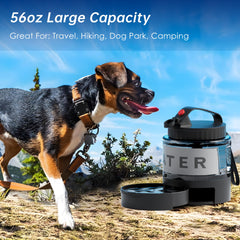 PETDOTT leak-proof bottle with secure seal prevents spills in bags.