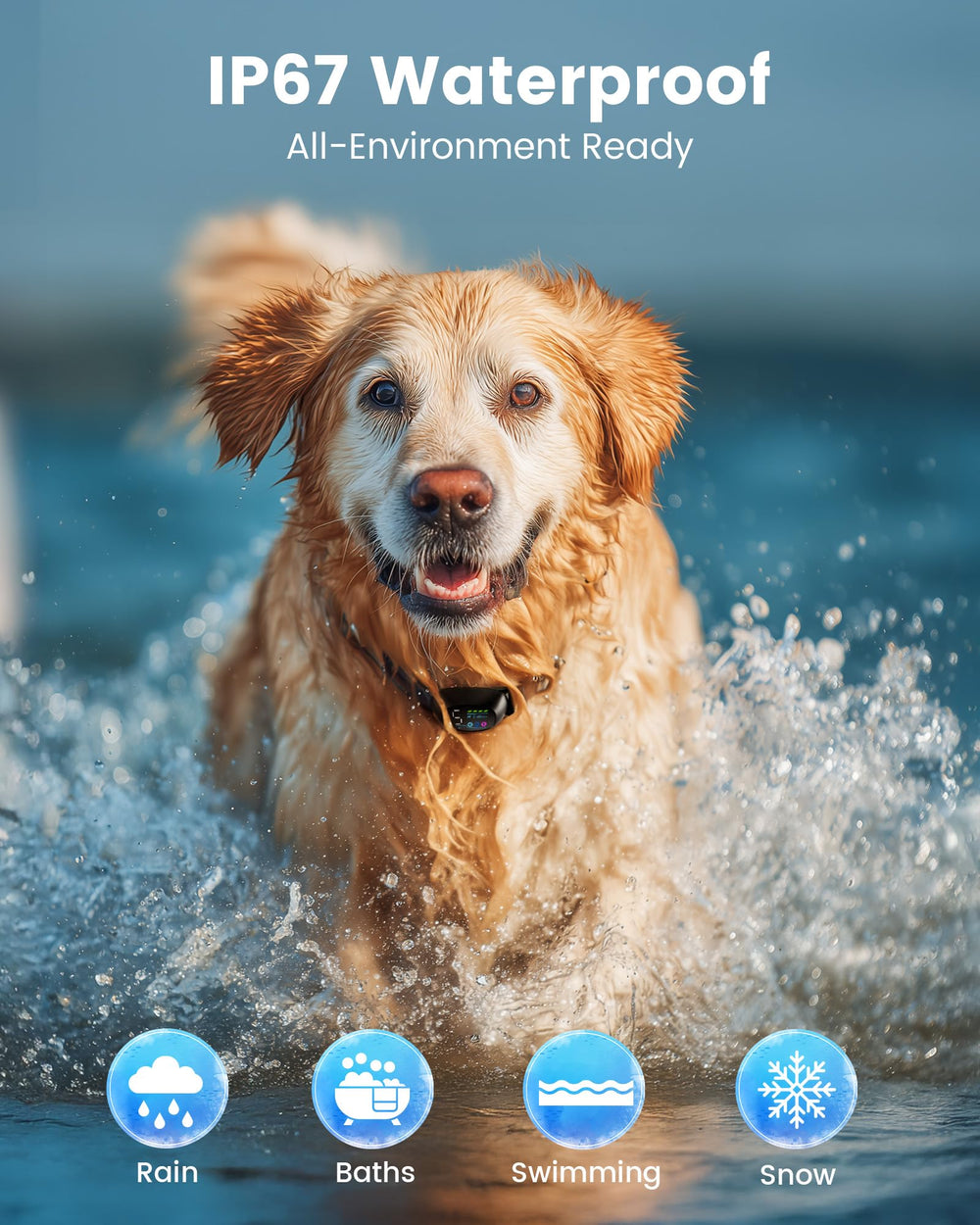 PETDOTT magnetic charging setup enables fast convenient recharges