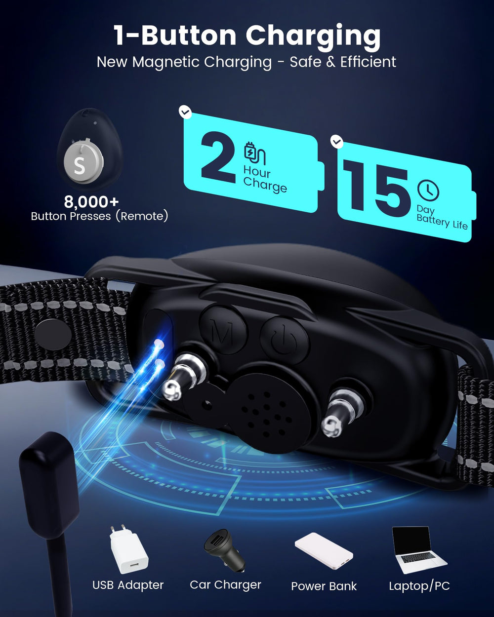 PETDOTT night reflective strap improves visibility during evening walks