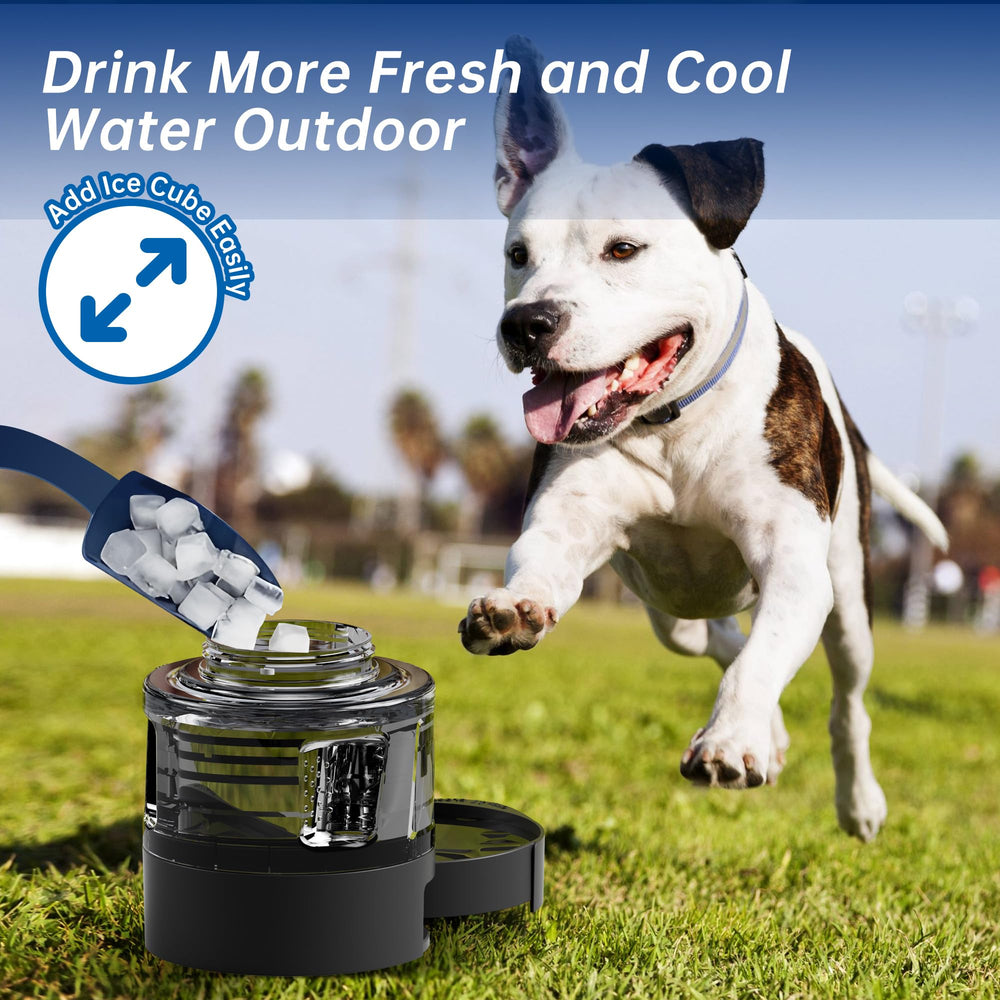 PETDOTT one-hand operation enables quick hydration during walks.