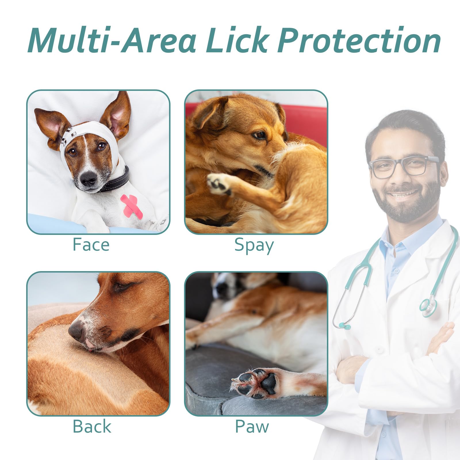 Petdream cone features collar loops for added security during activity.