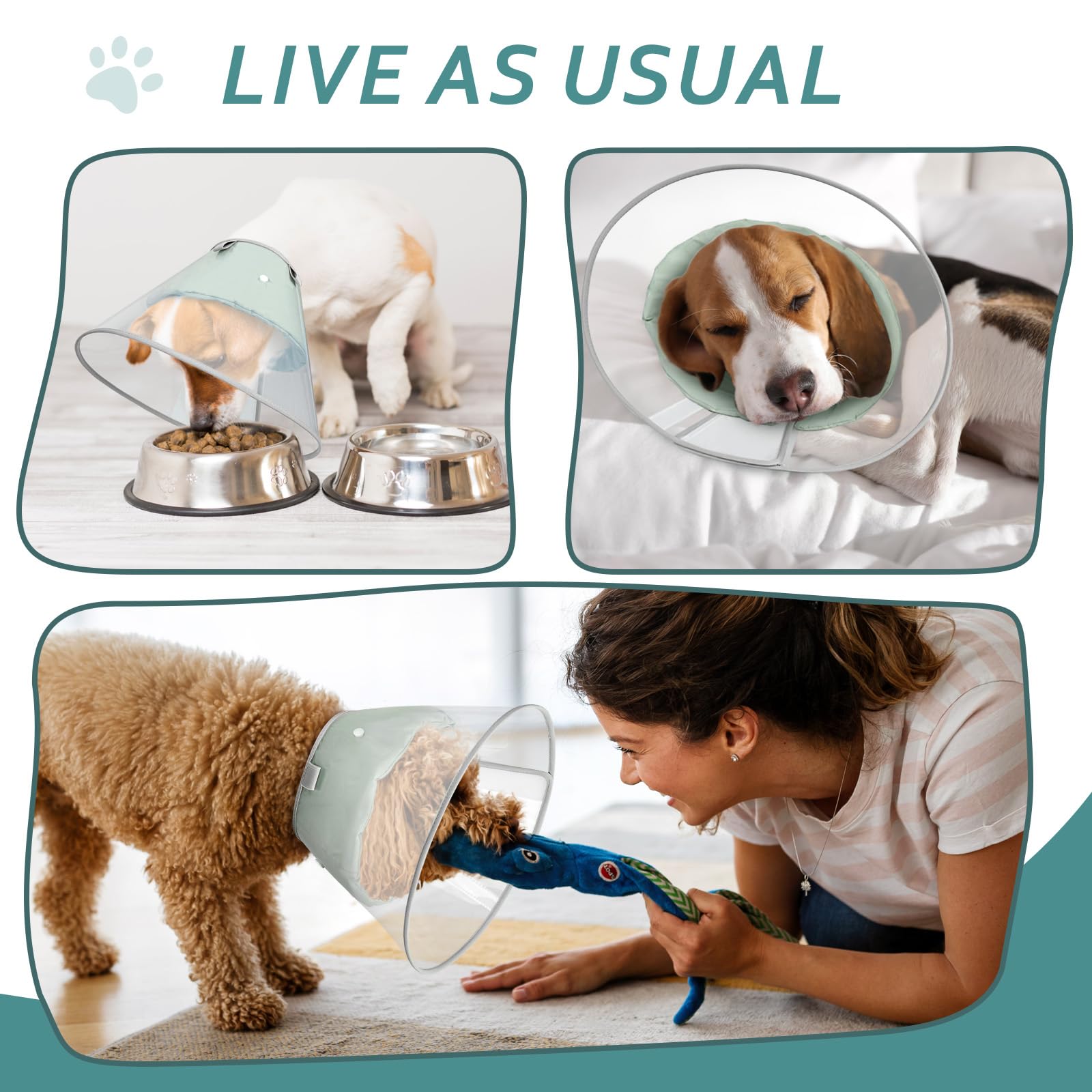 Petdream cone is lightweight for comfortable wear throughout daily routines.