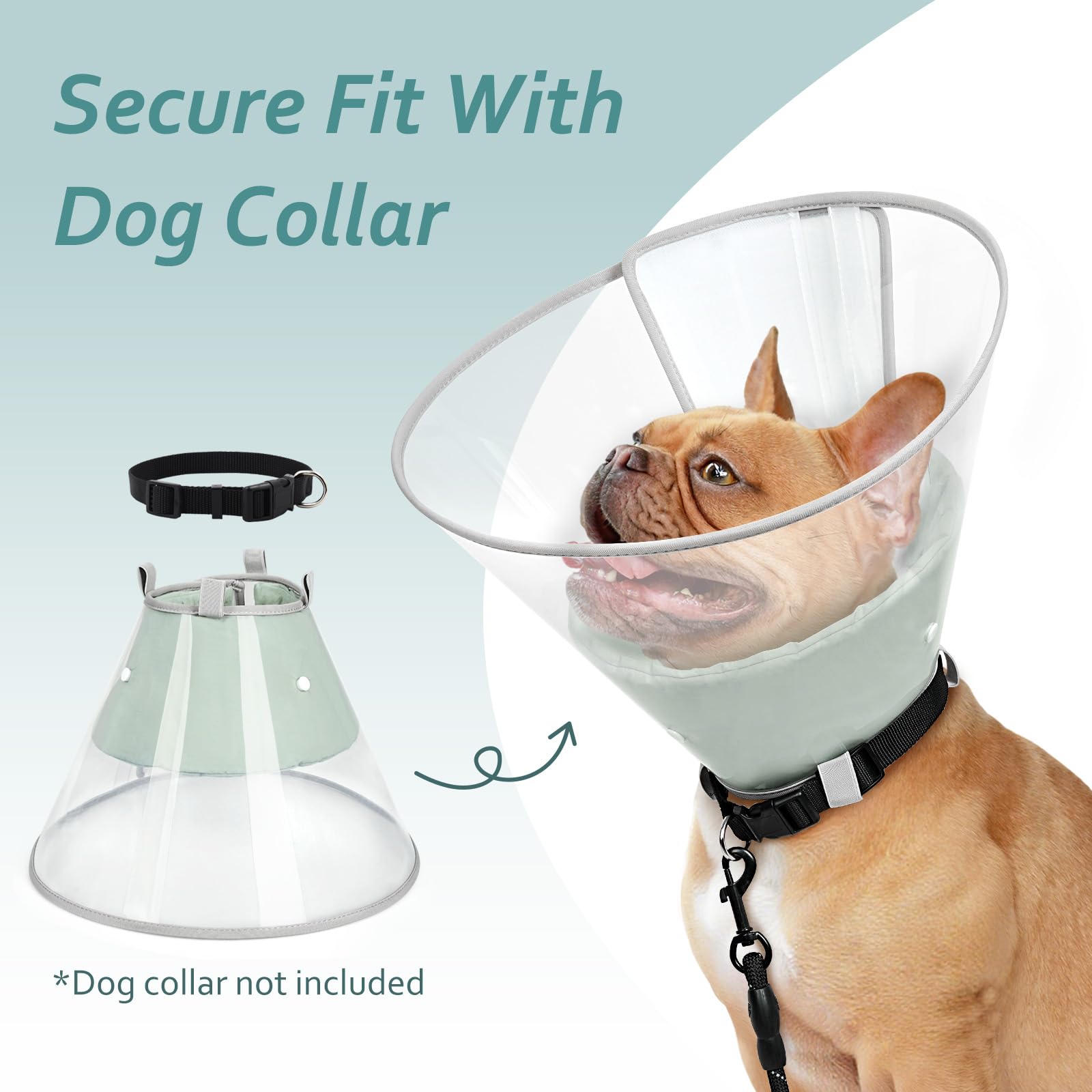 Petdream six-size fit helps secure the right size for many dog shapes.