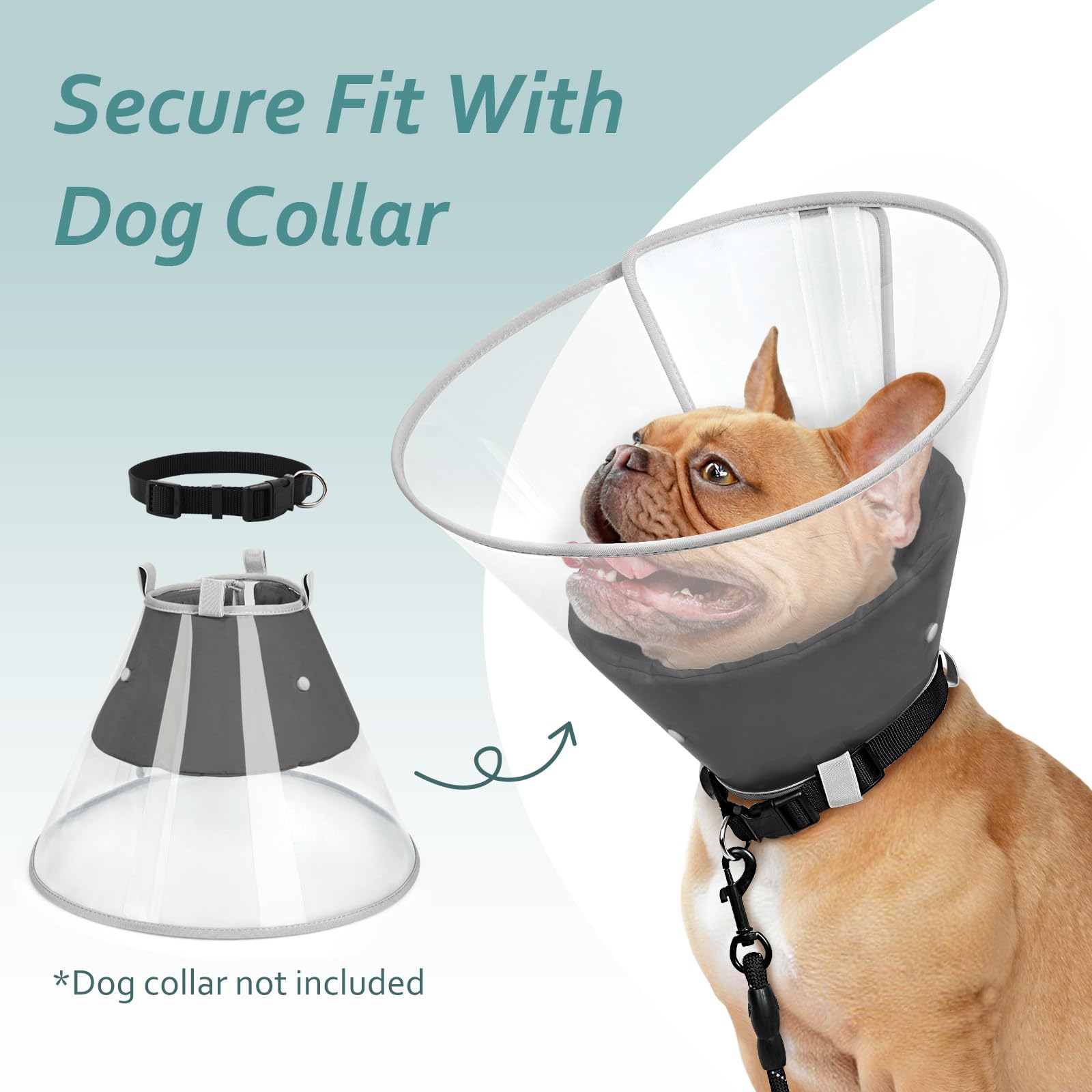 Petdream six-size range fits small to large dogs for a comfortable recovery.