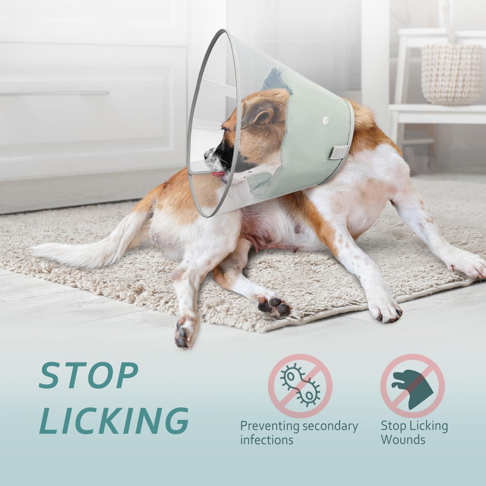 Petdream dog cone with detachable soft liner prevents rubbing for comfortable rest.