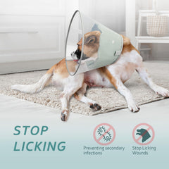 Petdream dog cone with detachable soft liner prevents rubbing for comfortable rest.